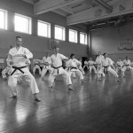 LTKF Spring Course 2015 gallery